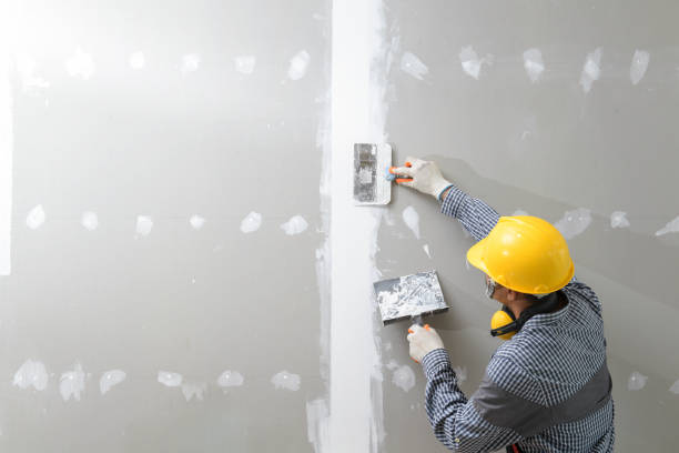 Best Forensic Mold Investigation  in Wiggins, MS