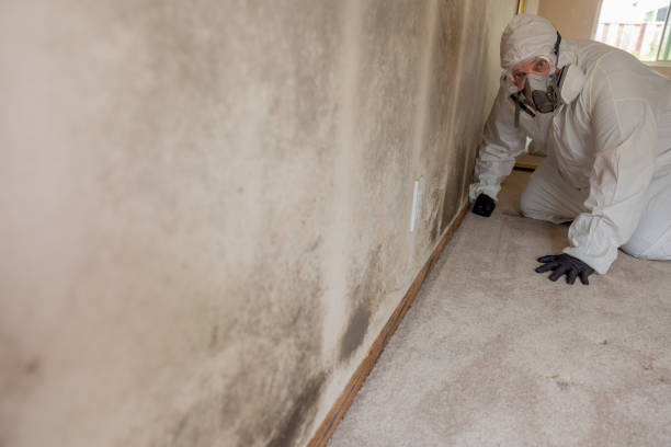 Best Indoor Air Quality Assessment  in Wiggins, MS