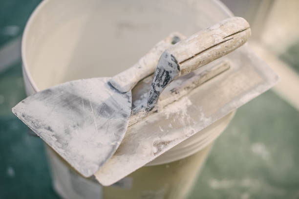Trusted Wiggins, MS Mold Removal Experts